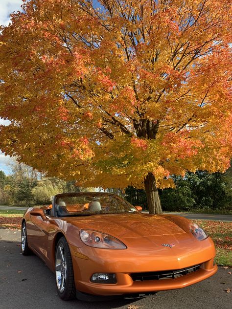 Atomic Orange 2008 Convertible in Upstate NY (Rochester) in Fall 2019 Orange Cars Aesthetic, Fall Car Aesthetic, Orange Car Aesthetic, Orange Cars, Orange Vans, Candy Car, Gas Money, Pray For Love, Orange Car