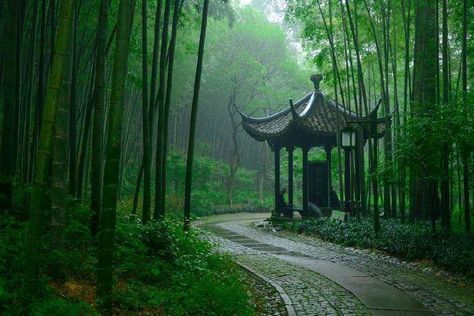 Chinese Forest, Ancient China Aesthetic, Scene Aesthetic, Forest Core, Asian Architecture, Aesthetic Space, Fate Stay Night Anime, Chinese Landscape, Blossoms Art