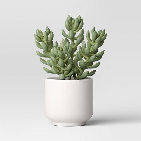 Artificial Succulent Plant - Threshold™ Fake Room Plants, Cute Plants For Bedroom, Cozy Shelf Decor, Sage Green Decor Bedroom, Plants In Dorm, Greenery Room Decor, Target Room Decor, Cactus Room Decor, Sage Green Home Decor