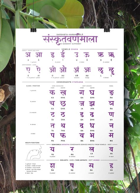 Sanskrit Alphabet Poster by Heidi Scholze, via Behance Sanskrit Alphabet, Philosophy Teacher, Sanskrit Grammar, Hindi Alphabet, Sanskrit Language, Hindi Language Learning, Learn Hindi, Sanskrit Quotes, Hindi Worksheets