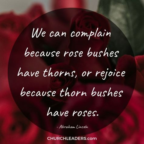 Comparison steals our joy so cultivate a heart of contentment. These days, being content with what we have and how we look is a struggle. If you ask a group of women what one of life’s biggest struggles is, the overwhelming answer will be being content and not comparing ourselves to others. #contentment #peace Christian Leadership Quotes, Being Content, Group Of Women, Godly Life, Worship Leader, Grilling Gifts, Perspective On Life, Leadership Quotes, Meeting Someone