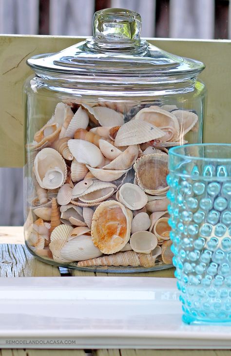 Sea Shells Home Decor Ideas, Glass Bowl With Sea Shells, Sea Shells Decor Ideas, Seashells In A Jar, Shells In A Jar, Outdoor Coastal Decor, Shell Jar, Shell Home Decor, Shells Decor