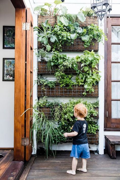 Vertical Herb Gardens, Herb Garden Wall, Small Herb Gardens, Jardim Diy, Vertical Garden Design, Vertical Vegetable Garden, نباتات منزلية, Vertical Herb Garden, Vertical Garden Wall