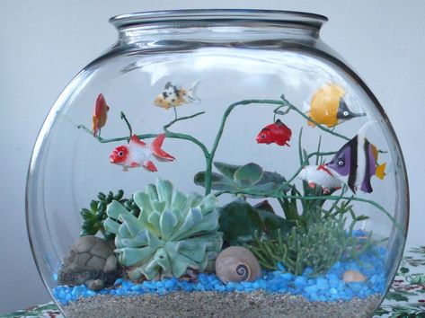 Easy Mermaid Drawing, Fake Fish Tank, Plants In Jars, Diy Fish Tank, Miniature Terrarium, College Room Decor, Diy Bowl, Faeries Gardens, Fish Supplies