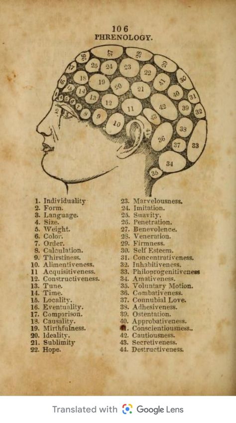 Phrenology Head, Sacred Science, Brain Anatomy, Face Reading, Brain Art, Spirit Science, Vintage Medical, Ancient Knowledge, Scientific Illustration