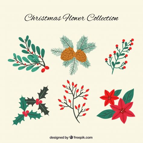 Christmas Flower Pattern, Christmas Flower Illustration, Christmas Flowers Illustration, Christmas Flower Drawing, Pointsetta Flower, Mistletoe Drawing, Icon Doodles, Sketch Rose, Rose Line Art