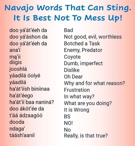 Apache Language, Autobiography Template, Navajo Words, Native American Quotes Wisdom, Indigenous Pride, Native American Knowledge, Navajo Language, Native American Language, Native Quotes