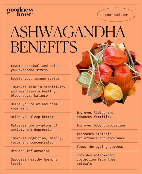 Ashwagandha Plant, Ashwagandha Benefits, Unclog Arteries, Healthy Hormones, Healthy Supplements, Natural Healing Remedies, Herbal Healing, Home Health Remedies, Herbs For Health