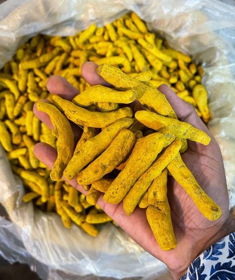 We are a Manufacturer and exporter Of The Best Quality Turmeric Finger And other spices. Available In Bulk Quantity. Please Contact Us On Whatsapp:- 9413384758 Email ID:- Shriharimtc@yhaoo.co.in Website:- www.Krishnaindia.in Email Id, Herbs And Spices, Fresh Fruit, Agriculture, More Information, Contact Us, Seeds, Herbs, Good Things