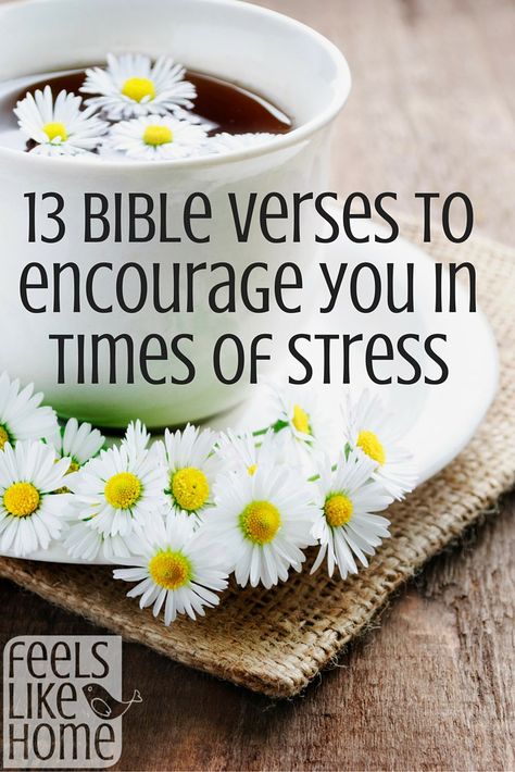 Everyone has stress. How do you deal with stress when it hits? You should start by praying these 13 Bible verses over your situation. Scriptures are great for encouraging faith, strength, and peace in your life. The words of Jesus Christ can bring truths into your heart. Bible Verses About Strength, August 25, Philippians 4, Trendy Quotes, Ideas Quotes, New Quotes, Quotes About Strength, Bible Journaling, Don't Worry