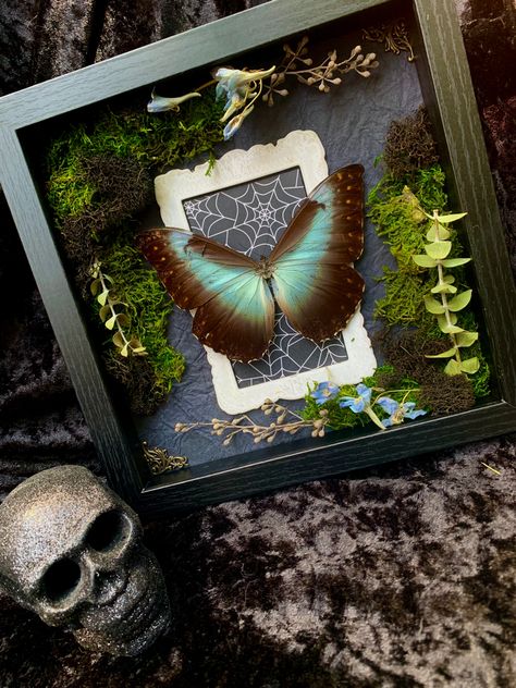 Oddities Decor, Art Macabre, Butterflies Nature, Art Butterflies, Butterfly Taxidermy, Insect Taxidermy, Goth Home, Macabre Art, Goth Home Decor