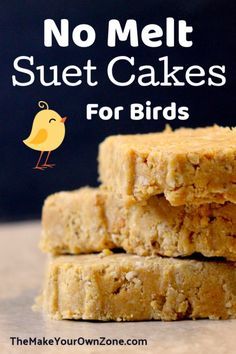 Bird Food Storage Ideas, No Melt Suet, Birdseed Cakes, Homemade Birdseed, Suet Recipe, Diy Cakes, Backyard Birds Sanctuary, Suet Bird Feeder, Backyard Birds Feeders