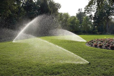 Best DIY In-Ground Lawn Sprinkler: Rain Bird In-Ground Automatic Sprinkler System Sprinkler System Design, Lawn Sprinkler System, Patio Addition, Lawn Irrigation, Underground Sprinkler, Sprinkler Irrigation, Rain Bird, Garden Sprinklers, Diy Lawn