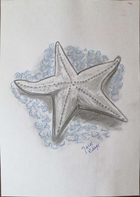 "Starfish" Pencil drawing by JalelEdine Art. #art #dailyart #artwork #jaleledineart #pencildrawing #starfish #seacreatures #summertime #summervibes #enjoysummer Starfish Drawing Easy, Starfish Sketch, Starfish Drawing, Assignment Ideas, Speed Draw, Easy Doodle, Doodles Drawings, Anatomy Sketches, Easy Doodle Art