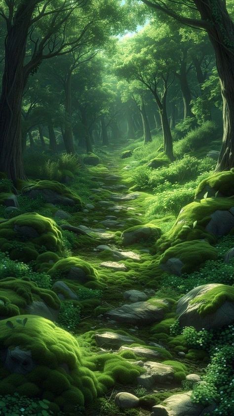 Mother Earth Art, Plane Flying, Green Scenery, Best Nature Wallpapers, Whidbey Island, Forest Path, Fantasy Forest, Fantasy Photography, Pretty Landscapes