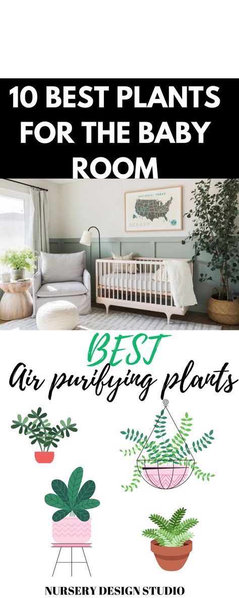 10 best plants for baby room (1) Plants For Baby Nursery, Garden Nursery Theme, Best Air Purifying Plants, Planting For Kids, Air Purifying House Plants, Home Air Purifier, Small Nurseries, Best Plants, Nursery Room Inspiration