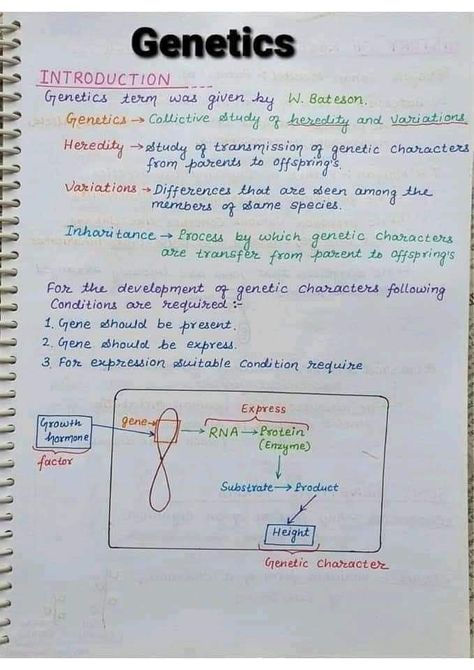 Chromosome and genetics biology Hand written Notes by best chemistry teacher Sir Asadullah Mastoi Inheritance Notes Biology, Genetics And Inheritance Notes, Biology Notes Genetics, Life Sciences Study Notes Grade 12, Basic Biology Notes, Chromosomes Notes, Biology Notes Class 10, Class 10 Science Notes Biology, Genetics Notes Biology