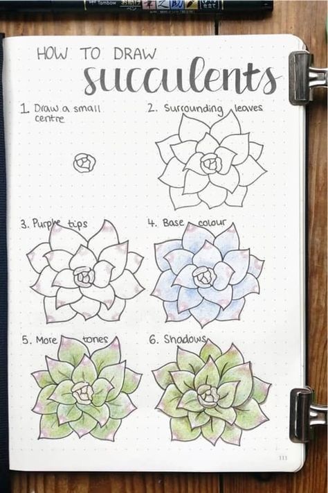 25 Best Succulent & Cactus Doodle Ideas For Bujo Addicts - Crazy Laura Draw Succulents, Succulent Art Drawing, Succulent Doodle, Cactus Doodle, Succulents Drawing, Succulent Theme, Crazy Laura, Plant Doodle, Succulent Painting