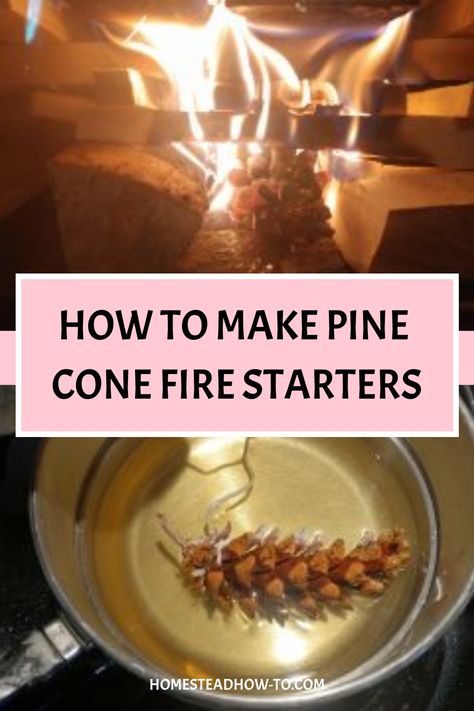 Pine cone fire starters are easy to make using beeswax and a braided candle wick. They can help to get a fire started within minutes and also make a great gift! Pinecone Firestarters, Pine Cone Fire Starters, Firestarters Diy, Homestead Planning, Best Fire Starter, Homemade Fire Starters, Pinecone Fire Starters, Camping Fire Starters, Fire Starters Diy