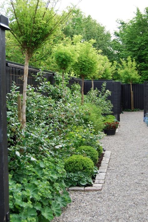 Outdoor Landscaping Ideas Backyard, Black Garden Fence, Small Garden Fence, Above Ground Garden, Patio Landscape Design, Backyard Planters, Fence Plants, Black Fence, Privacy Landscaping