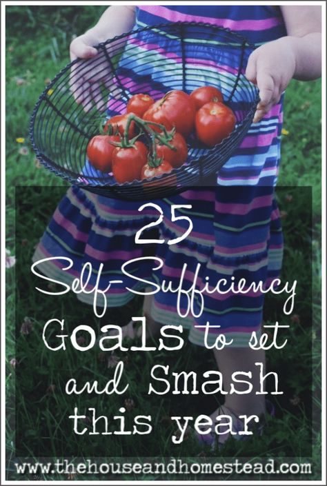 25 Self-Sufficiency Goals to Set and Smash This Year | The House & Homestead Gardening Homeschool, Homestead Binder, Apartment Homesteading, Homestead Family, Backyard Homesteading, Homestead Skills, Living Cheap, Goals To Set, Amish Living