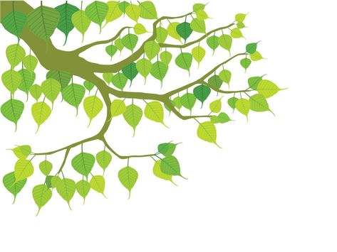 Buddhist Tree on illustration graphic vector Bodhi Tree Drawing, Bodhi Leaf, Bodhi Tree, Tree Illustration, Tree Drawing, Leaf Art, Free Vector Images, Vector Art, Plant Leaves