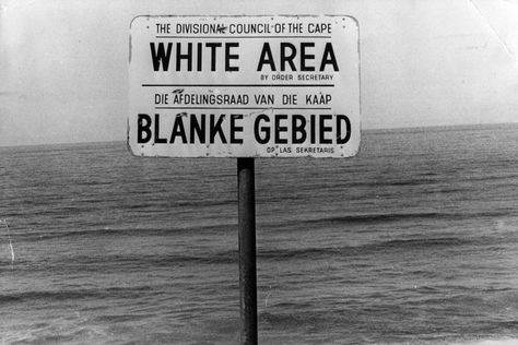 What Signs Were Used to Enforce Segregation During Apartheid? English Projects, Students Day, Ap World History, Africa Do Sul, Nelson Mandela, African History, Social Interaction, Bbc News, World History