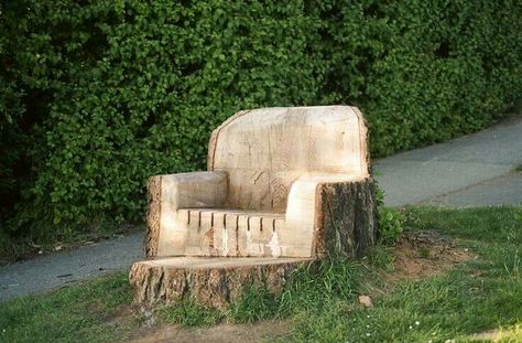 Recycling  tree stomp Tree Throne, Stump Chair, Stump Ideas, Tree Stumps, Log Furniture, Have Inspiration, Tree Trunks, Tree Stump, Outdoor Wood