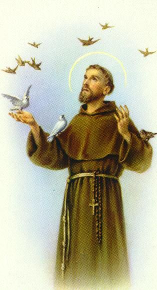 SAN FRANCISCO DE ASIS St Francisco, St Francis Assisi, Julian Of Norwich, Patron Saint Of Animals, Santi Cattolici, Sao Francisco, Francis Of Assisi, San Francesco, St Francis