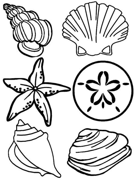 Sea Shells Coloring Page Printable Seashell Coloring Pages Free Printable, Ocean Rocks Drawing, Sea Rocks Drawing, Shells Coloring Pages, Shell Outline, Sea Animals Drawing, Shells Ideas, Sea Prints, Ocean Coloring Pages