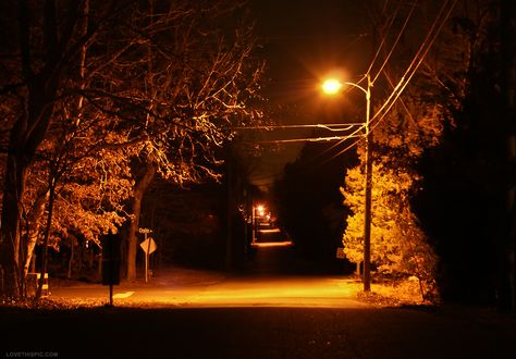 tree Tree Night Photography, Orange Street Lights Aesthetic, Orange Street Lights, Night Street Lights Aesthetic, Orange Light Aesthetic, Street Light Photography, Street Lights Aesthetic, Street Lights At Night, Spooky Lighting