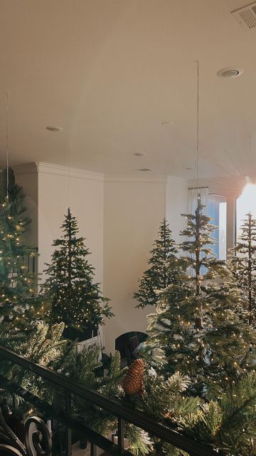 Lindsay Stewart • Decor | Design on Instagram: "I never want to take them down.🎄🥹Save this for next year’s inspo! Would you suspend Christmas trees from your ceiling?👇🏻 If you’re into outside-the-box design and creative home interiors, follow @lindsaystewartdotcom - I’m your girl.☝🏻 #lindsaystewart #beunboxable #makinghomemagical #cljsquad #creativechristmas Live a little.✨🫶🏻" Hanging Christmas Trees From Ceiling, Hanging Christmas Trees, Tuscan Patio, Christmas Ceiling Decorations, Black Christmas Decorations, Hanging Christmas Tree, December 23, Black Christmas, Home Ceiling