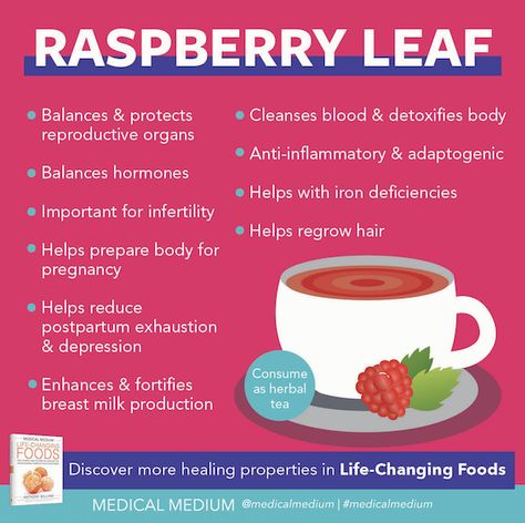 Medical Medium Blog: read Raspberry Leaf: Life-Changing Herb now at www.medicalmedium.com Rasberry Leaf Tea, Raspberry Leaf Tea Benefits, Medium Recipe, Pregnancy Help, Raspberry Leaf Tea, Help Hair Grow, Raspberry Leaf, Raspberry Tea, Loaded Sweet Potato