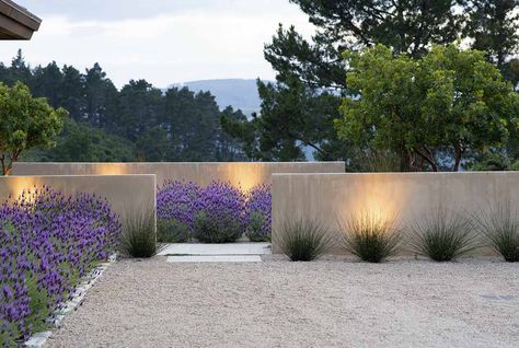 stuccoed walls, 1/4" crushed granite, reeds, lavender & lighting from "Landprints: the Landscape Designs of Bernard Trainor" Moderne Have, Modern Garden Landscaping, Lavender Garden, Modern Landscape Design, Modern Garden Design, Walled Garden, Have Inspiration, Contemporary Garden, Garden Pictures