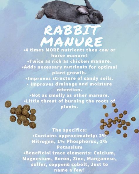 Rabbit Burrow, Rabbit Breeding, Horse Manure, Chicken Manure, Rabbit Breeds, Sandy Soil, Plant Growth, A Craft, My Garden