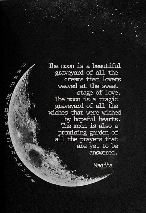 Full Moon Quotes, Choose Me Quotes, Cosmic Quotes, Moon Poems, Moon And Star Quotes, Stages Of Love, Moon Quotes, Star Quotes, Good Luck Quotes