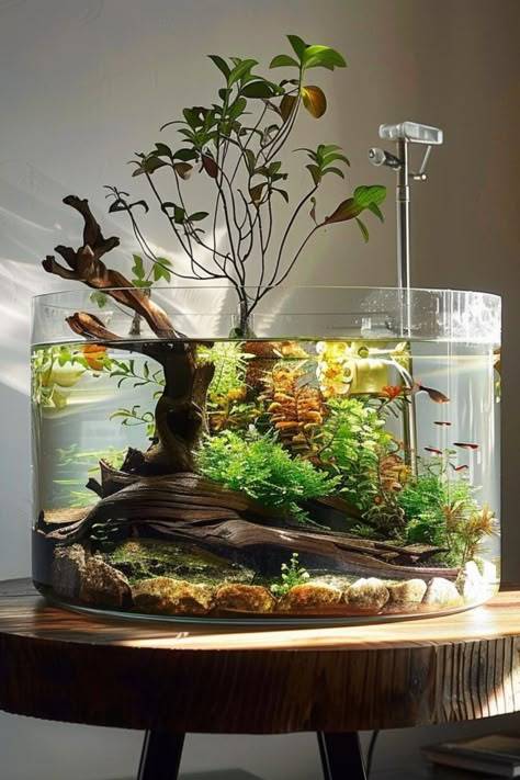 Discover the benefits of a biologically diverse planted tank with our biodiversity-focused aquascaping ideas. Learn how to create a balanced ecosystem that supports a wide range of aquatic life, from microorganisms to fish and plants. For advice on building and maintaining a biodiverse aquarium, check out our blog. Freshwater Planted Aquarium Ideas, Aquarium In Room Aesthetic, Fish Tank In Office, Fish Tank Scapes, Freshwater Community Tank, Ecosystem Fish Tank, Live Plant Aquarium Ideas, Fish Tank Greenhouse, Tetra Fish Tank Ideas