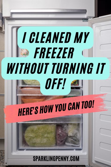 Deep Freezer Organization Ideas, How To Clean Freezer, Clean Freezer, Deep Freezer Organization, Freezer Hacks, Best Steam Cleaner, Clean Refrigerator, Freezer Organization, Diy Cleaning Solution