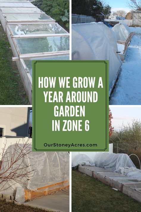 How Much To Grow For A Year, Round Vegetable Garden Design, Year Round Garden Design, Survival Crops, 6a Gardening, Year Round Gardening, Year Round Garden, Urban Homestead, Survival Garden