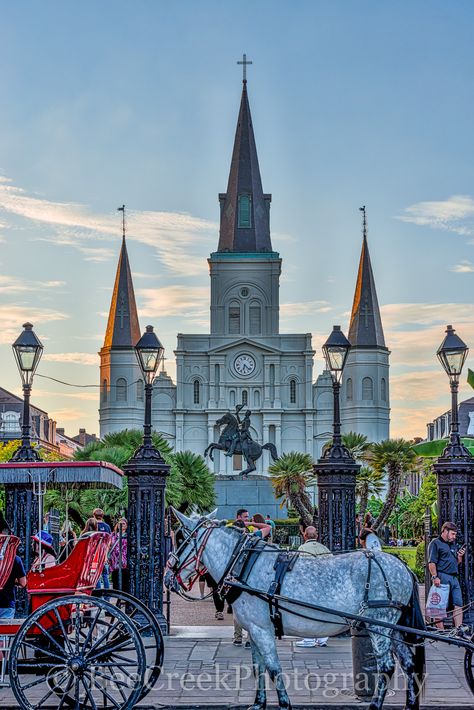 Jackson Square New Orleans, Nouvelle Orleans, Distressed Kitchen, Square French, Queen Of The South, Jackson Square, Cultural Capital, The French Quarter, Willow Creek