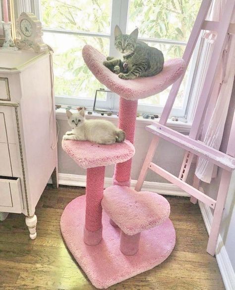 Katt Grejer, Two Cats, Cute Bedroom Decor, Dream House Rooms, Dreamy Room, Cute House, Accra, Pink Houses, Dream Room Inspiration