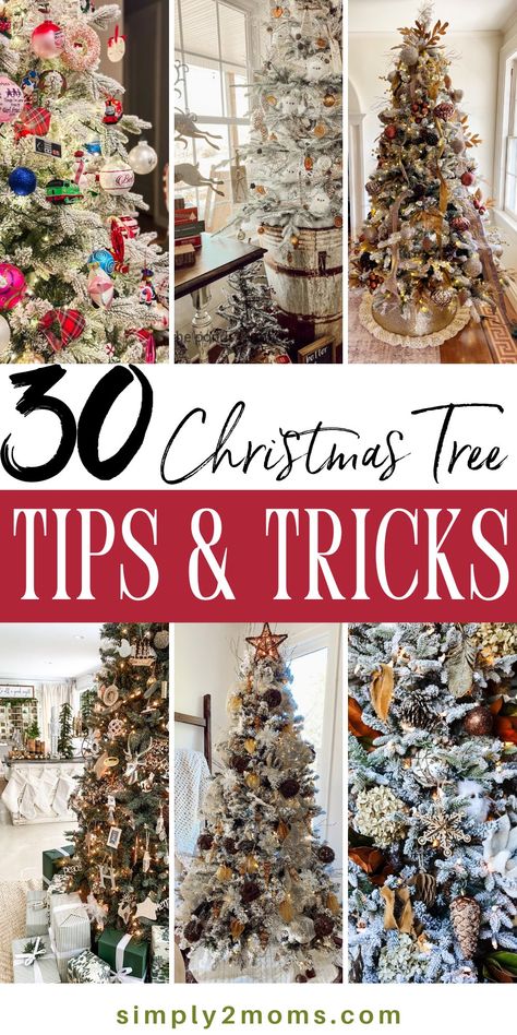 Where To Put A Christmas Tree, Christmas Tree Decorating Videos, Flocked Tree Decorating Ideas Farmhouse, 4 Ft Christmas Tree Decoration Ideas, Christmas Tree Grouping Ideas, Decorating A Flocked Christmas Tree, Flocked Trees Decorated, Christmas Tree Guide, Decorating Christmas Trees