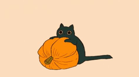 Halloween Kitty GIF - Halloween Kitty Pumpkin - Discover & Share GIFs Halloween Gifs Anime, Cute Animation Gif, Orange Gif, Debbie Balboa, Halloween Cat Art, Autumn Gif, Cat In A Pumpkin, Poor Life, Halloween Gifs