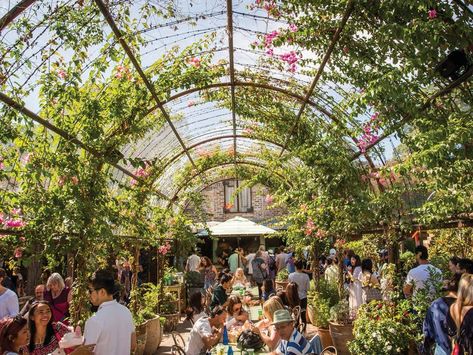 Sydney Cafe, The Grounds Of Alexandria, Vertical Farming, Eco Warrior, Sydney City, Outdoor Cafe, Instagrammable Places, In Season Produce, Cool Cafe