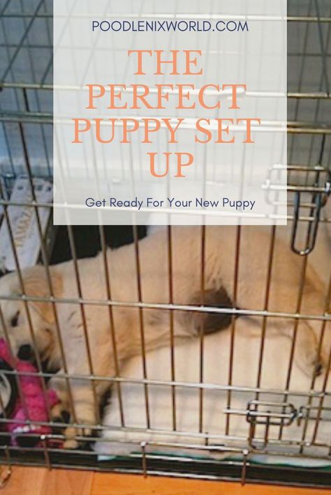 New Puppy Checklist, Puppy Checklist, Puppy Playpen, Puppy Kennel, Crate Training Puppy, Puppy Crate, Puppy Time, Puppy Proofing, Puppy House