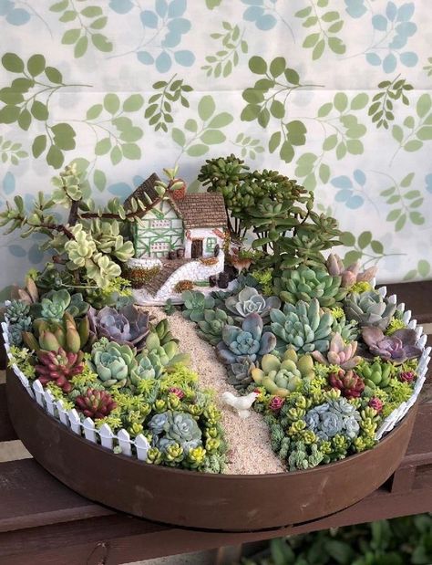 Fairy Garden Pot Ideas, Garden Pot Ideas, Gardening Shed, Gardening Essentials, Beginners Gardening, Kaktus Dan Sukulen, Basket Garden, Fairy Garden Pots, Indoor Fairy Gardens