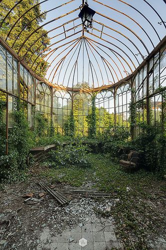 My Facebook I 500px | D's urbex | Flickr Abandoned Greenhouse, Victorian Greenhouses, Urban Exploring, Photo D Art, Abandoned Mansions, Garden Photography, Photorealism, Green House, Abandoned Buildings