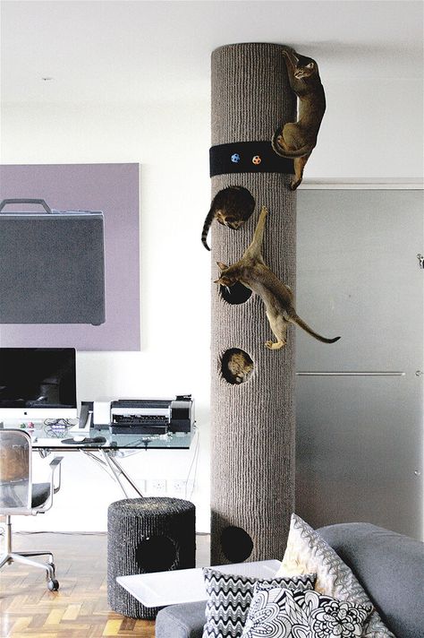 Hicat® | Made-to-Measure Cat Climbers & Bespoke Cat Furniture Luxury Cat Furniture, Cat Furniture Design, Cat Climber, Warrior Cats Books, Cat House Diy, Cat Playground, Luxury Cat, Cat Post, Cat Climbing