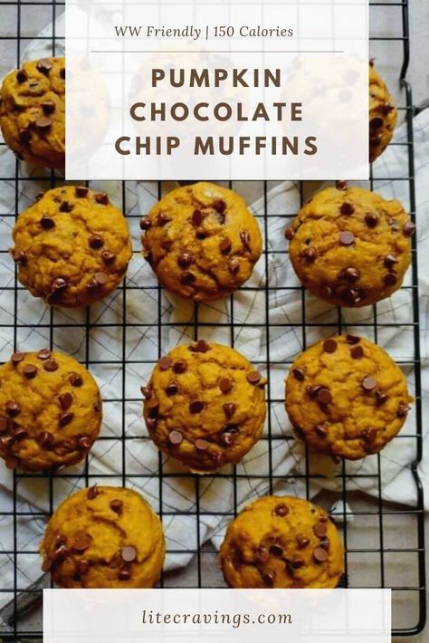 Pumpkin Chocolate Chip Muffins | Lite Cravings | WW Recipes Macro Friendly Pumpkin Muffins, Ww Pumpkin Recipes, Banana Crumble Muffins, Weight Watchers Pumpkin Muffins, Lite Cravings, Banana Crumble, Healthy Pumpkin Dessert, Weight Watchers Pumpkin, Cravings Recipes