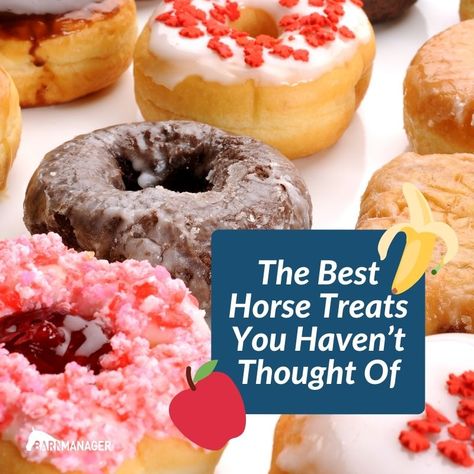 Healthy Horse Treats, Treats For Horses, Homemade Horse Treats, Animal Treats, Barn Hacks, Horse Food, Healthy Horses, Animals Care, Horse Treats